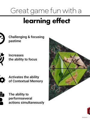 Shape Shifting Box Mystery Box